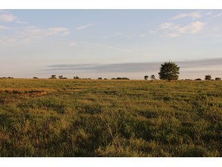 Tract 5 - LAND AUCTION - 440+/- Acres offered in 15 Tracts in Tulsa County